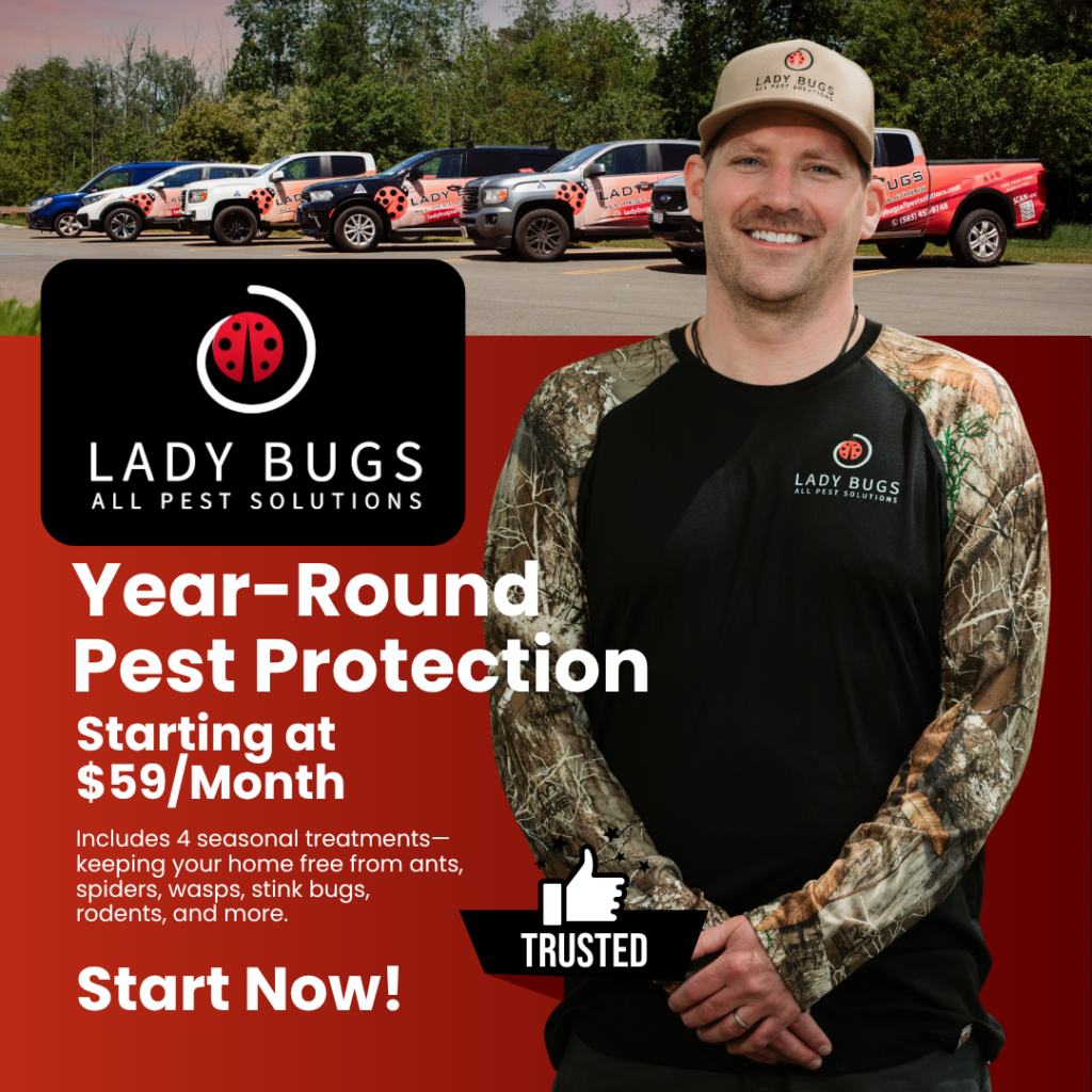 Year-Round Pest Protection. Starting at $59/month.